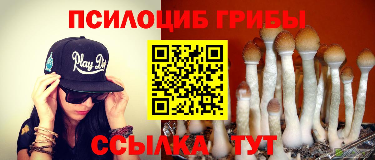 Галлюциногенные грибы мухоморы Советская Гавань