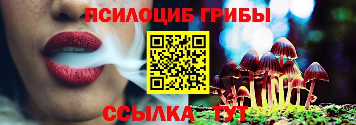 Псилоцибиновые грибы прущие грибы  Вход с VPN  Советская Гавань 